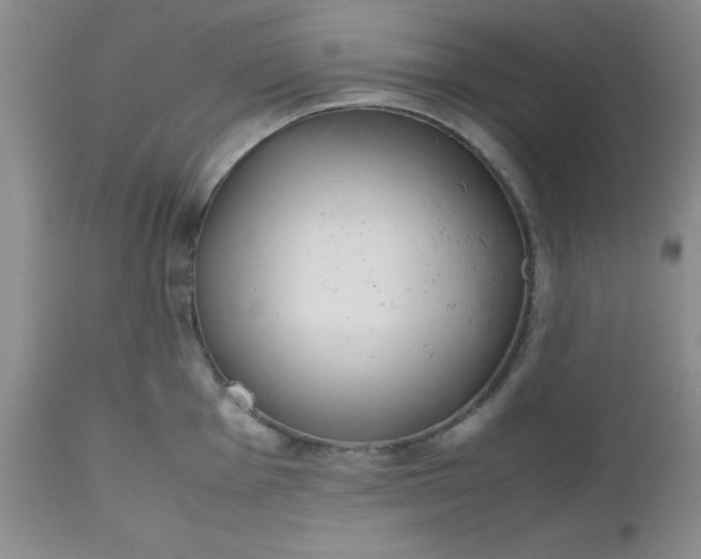 X0000112531001200908311418