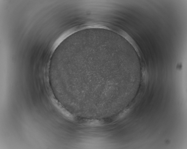 X0000112531002200908311418