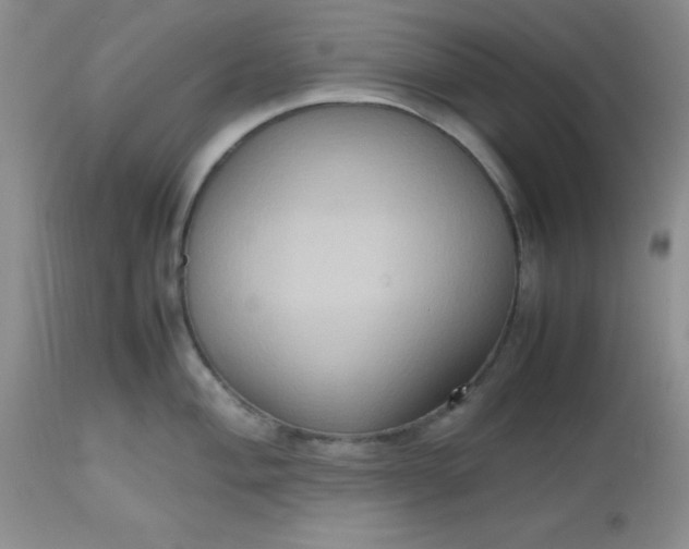 X0000112531004200908311418