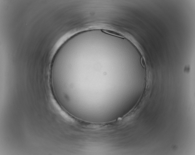 X0000112531005200908311418