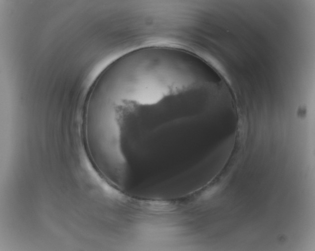 X0000112531007200908311418