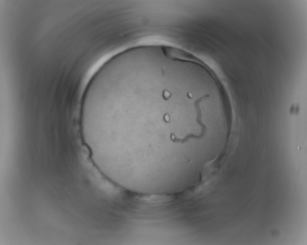 X0000112531008200908311418