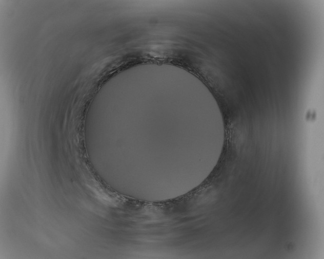 X0000112531009200908311418