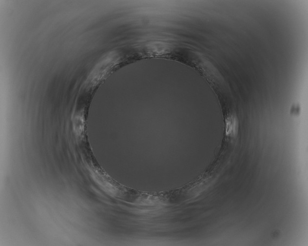 X0000112531011200908311418