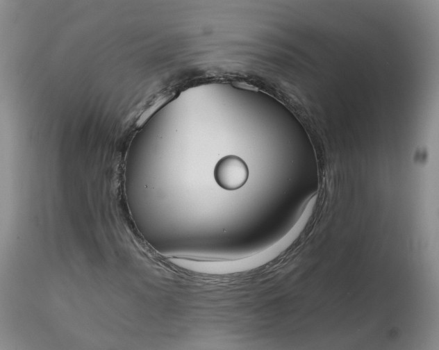 X0000112531012200908311418