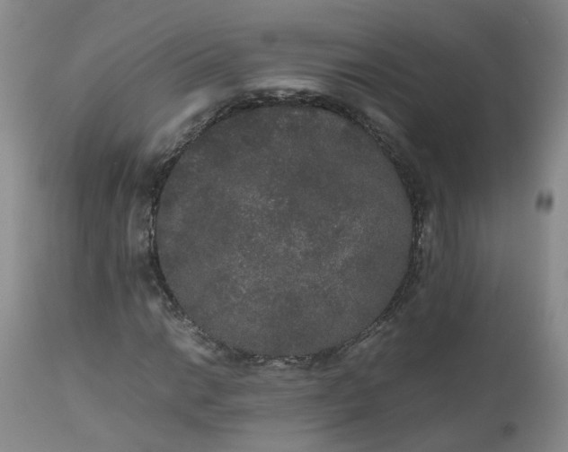 X0000112531014200908311418