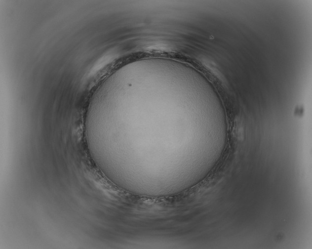 X0000112531015200908311418