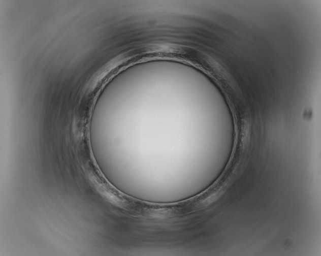 X0000112531017200908311418
