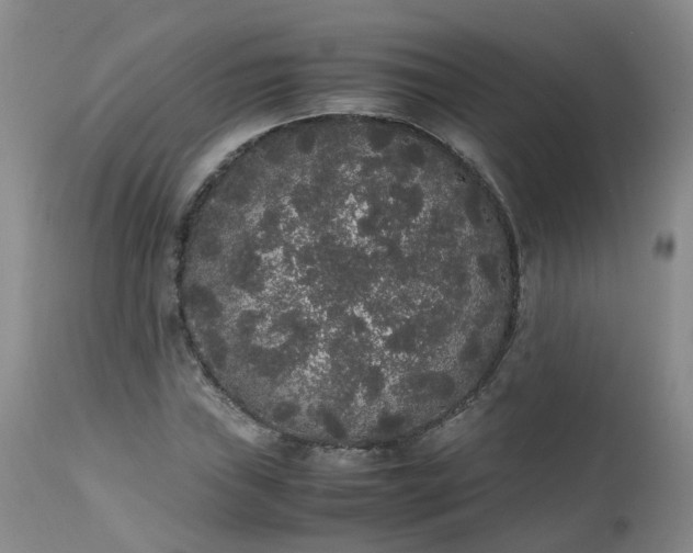 X0000112531019200908311418