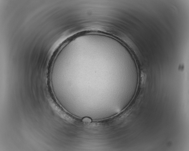 X0000112531020200908311418