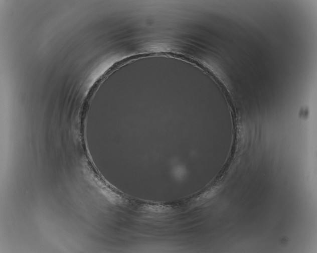 X0000112531023200908311418