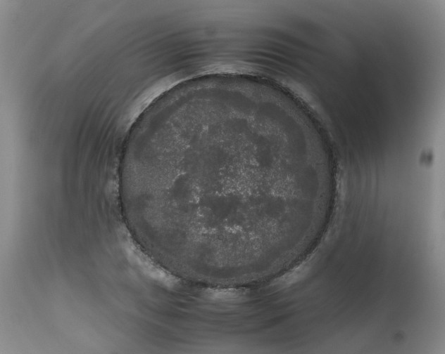X0000112531025200908311418