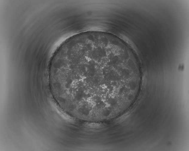 X0000112531027200908311418