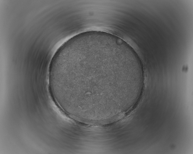 X0000112531028200908311418