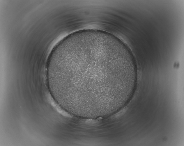 X0000112531029200908311418