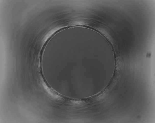 X0000112531031200908311418
