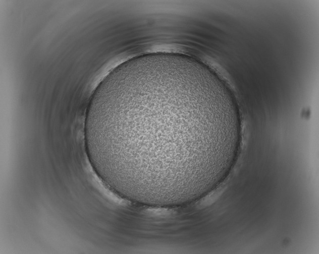 X0000112531033200908311418