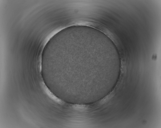X0000112531036200908311418