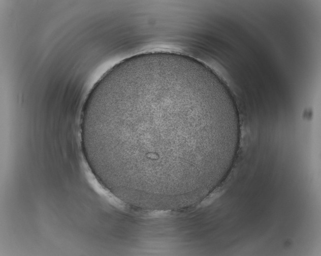 X0000112531038200908311418