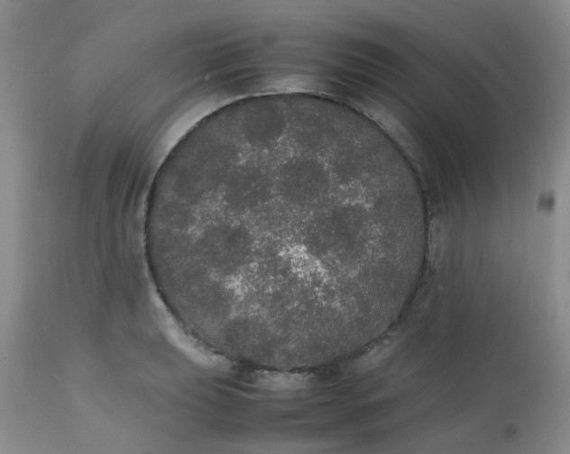 X0000112531039200908311418