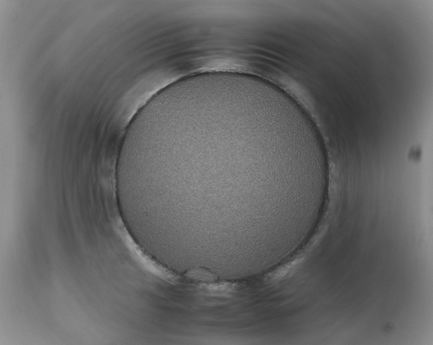 X0000112531041200908311418