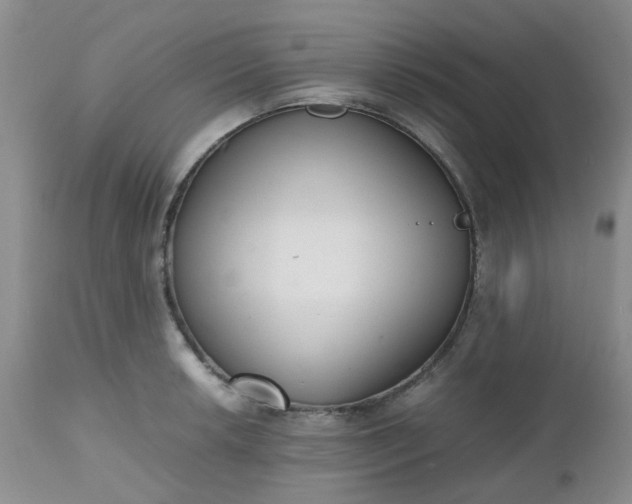 X0000112531042200908311418