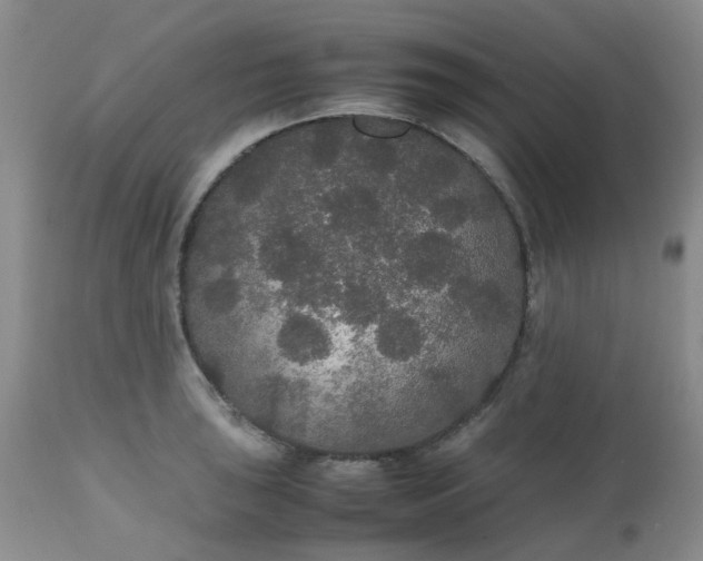 X0000112531043200908311418