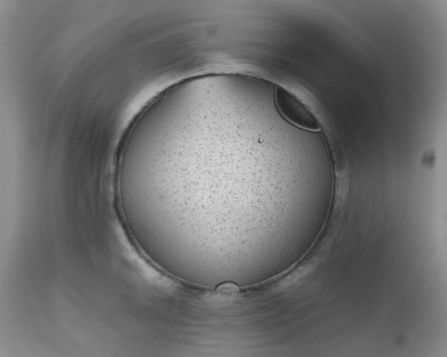 X0000112531046200908311418