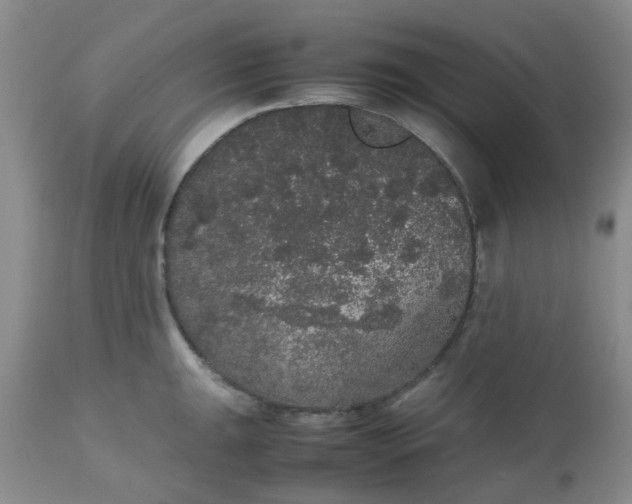 X0000112531047200908311418