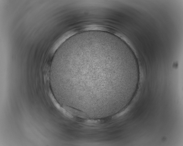 X0000112531049200908311418