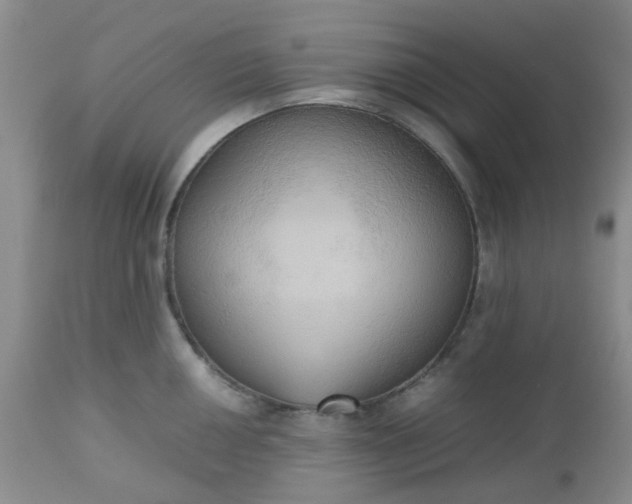 X0000112531050200908311418