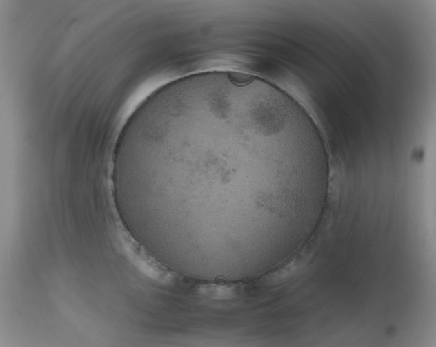 X0000112531051200908311418