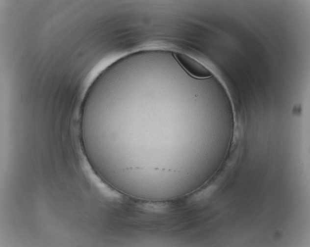 X0000112531053200908311418