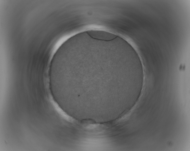X0000112531056200908311418