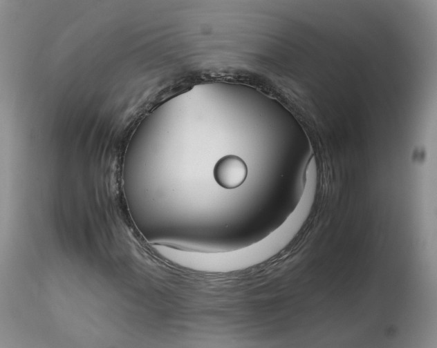X0000112531060200908311418
