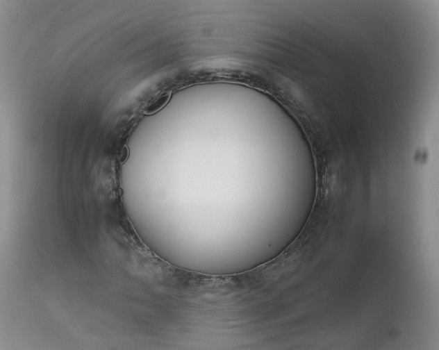 X0000112531062200908311418