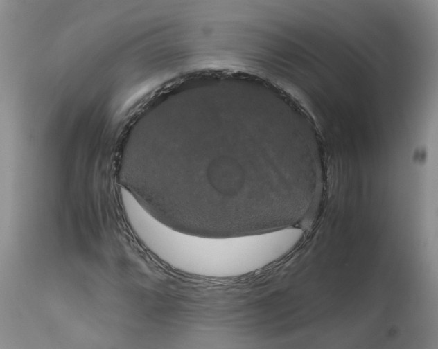 X0000112531064200908311418