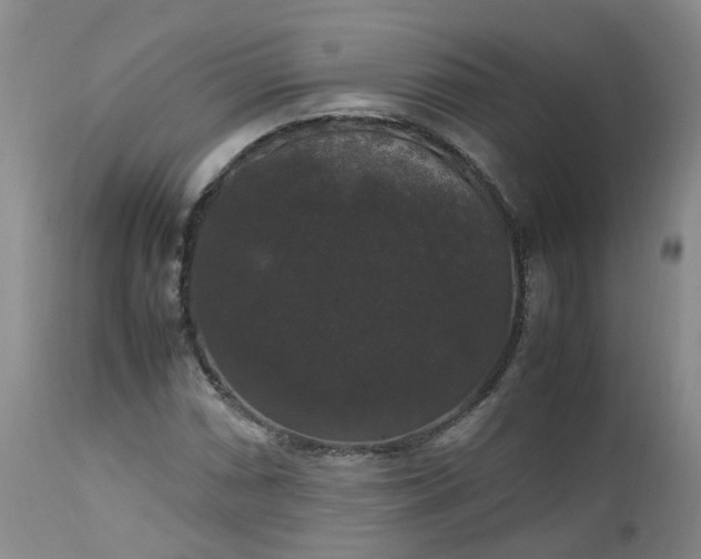 X0000112531066200908311417