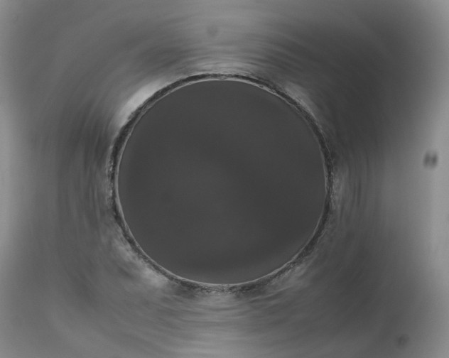 X0000112531071200908311417