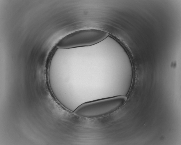 X0000112531072200908311417