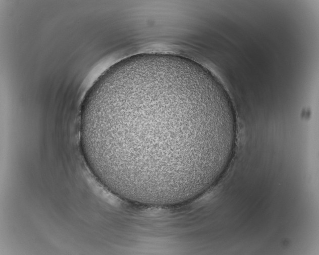 X0000112531075200908311417