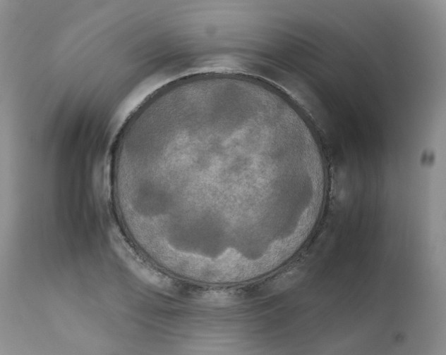 X0000112531078200908311417