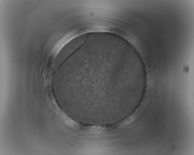 X0000112531081200908311417