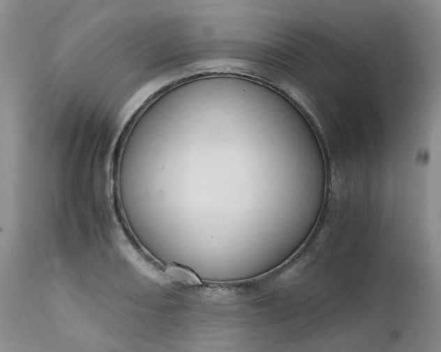 X0000112531082200908311417