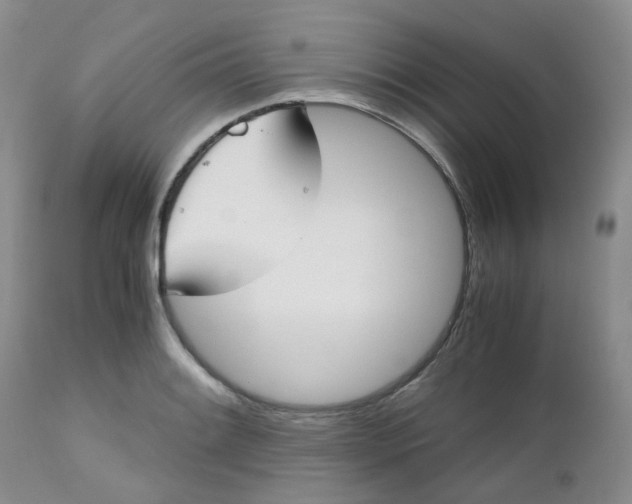 X0000112531084200908311417