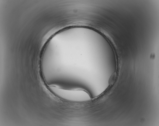 X0000112531085200908311417