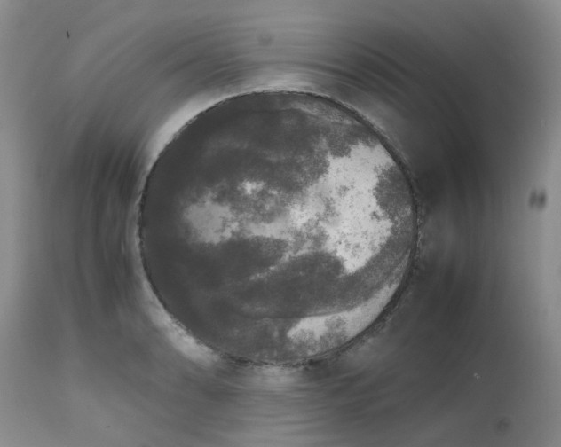 X0000112531086200908311417