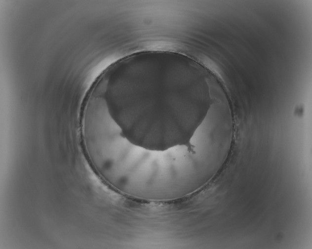 X0000112531087200908311417
