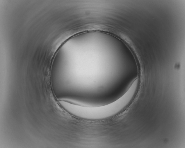 X0000112531089200908311417