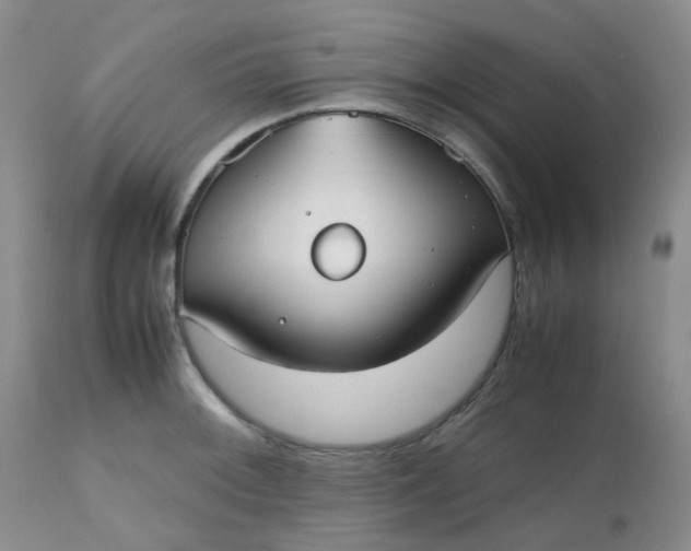 X0000112531092200908311417